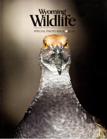 Wyoming Wildlife Magazine Subscription