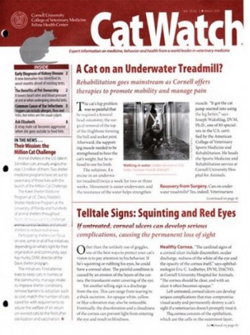 Catwatch Magazine Subscription