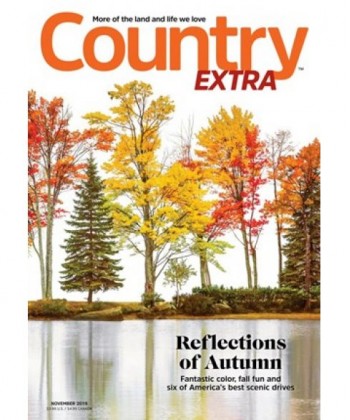 Country Homes & Interiors UK Magazine Subscription