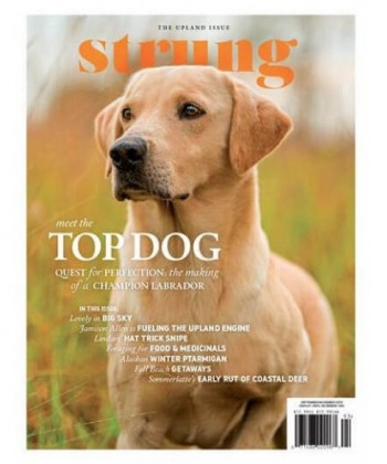 Strung Magazine Subscription