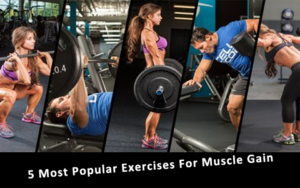 5 Most Popular Exercises For Muscle Gain