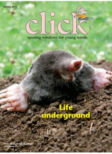 CLICK (for The Modern Photographer) Magazine