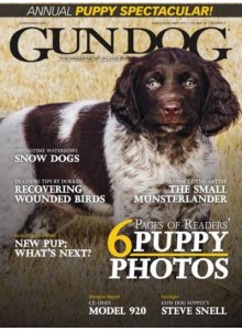 Gun Dog Magazine