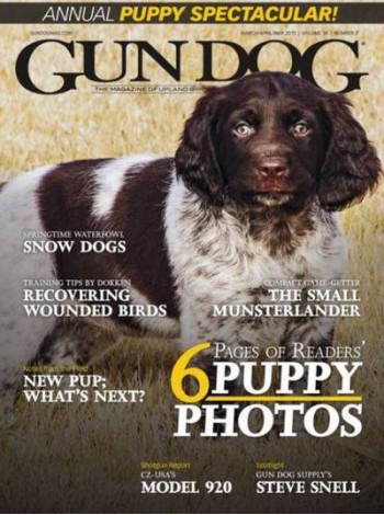 Gun Dog Magazine Subscription