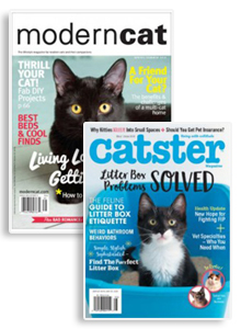 Modern Cat & Catster Combo Magazine