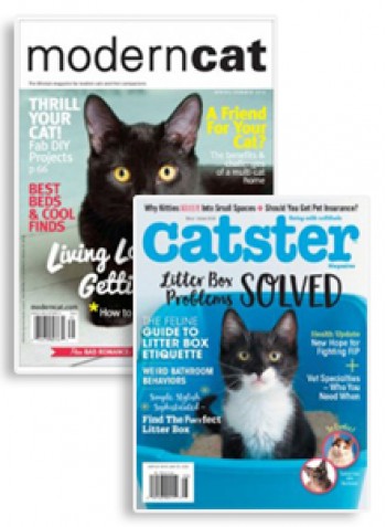 Modern Cat & Catster Combo Magazine Subscription