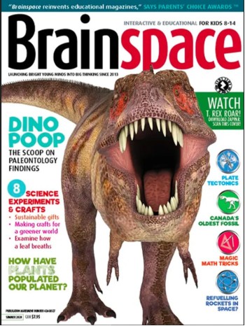 Brainspace Magazine Subscription