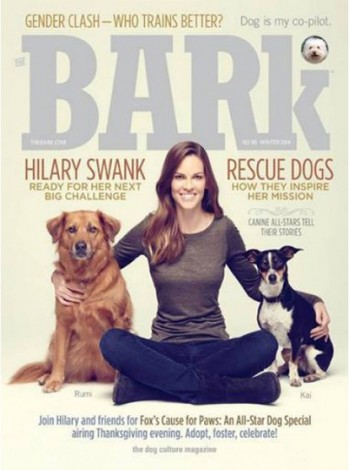 Bark Magazine Subscription