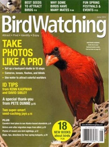 Bird Watching Magazine Subscription