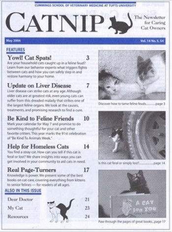 Catnip Magazine Subscription