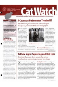 Catwatch Magazine