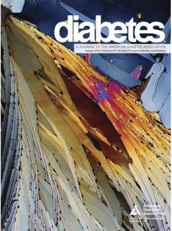 Diabetes Magazine Subscription