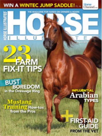 Horses Magazine Subscription