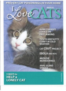 I Love Cats Magazine