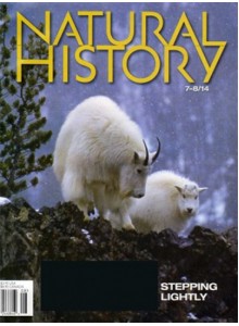 Natural History Magazine