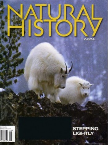 Natural History Magazine Subscription