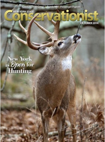 New York Conservationist Magazine Subscription