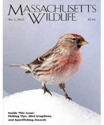 Massachusetts Wildlife Magazine Subscription