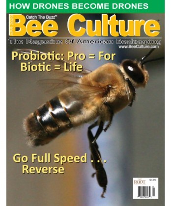 Bee Culture Magazine Subscription