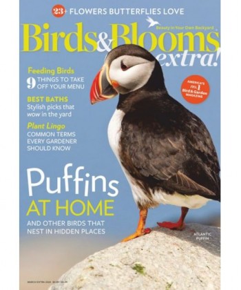 Birds & Blooms Extra Magazine Subscription