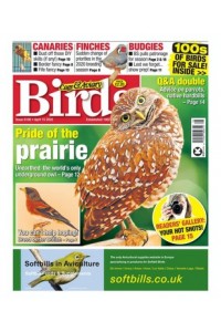 Cage & Aviary Birds UK Magazine