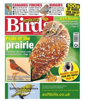 Cage & Aviary Birds UK Magazine Subscription