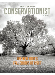 Conservationist Magazine