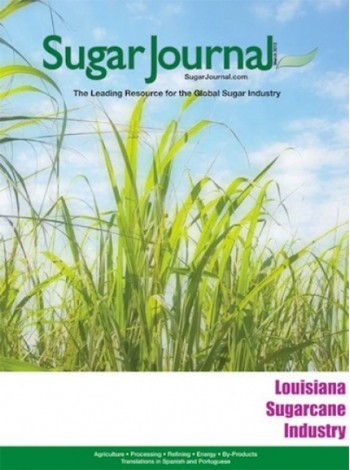Sugar Journal Magazine Subscription