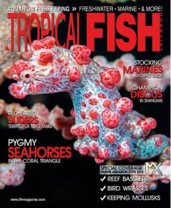 Tropical Fish Hobbyist Magazine Subscription