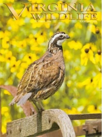 Virginia Wildlife Magazine Subscription