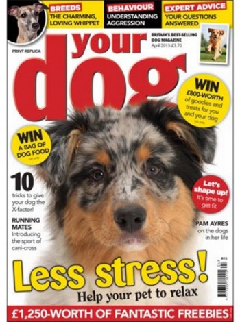 Your Dog Magazine Subscription